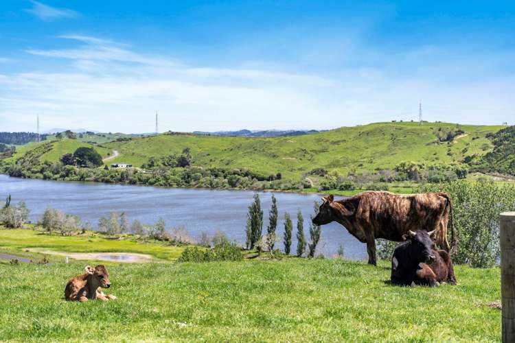 898 Churchill East Road Rangiriri_24