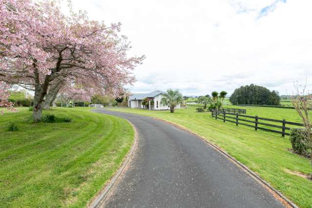 239 Koromatua Road Temple View_4