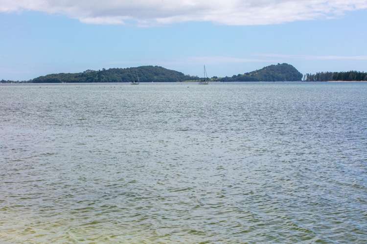 24 Esplanade Road, Ongare Point Katikati_19