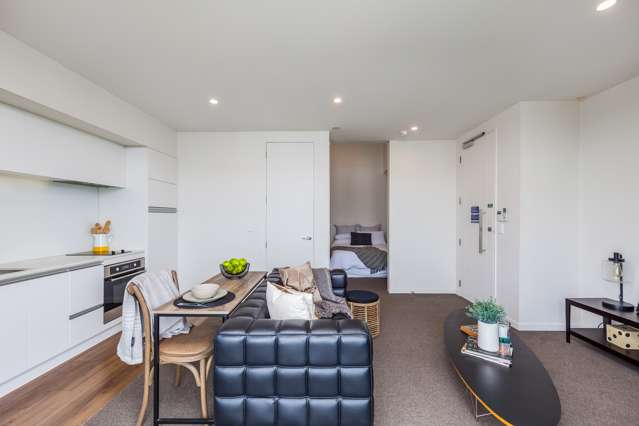 371 Murphys Road Flat Bush_2