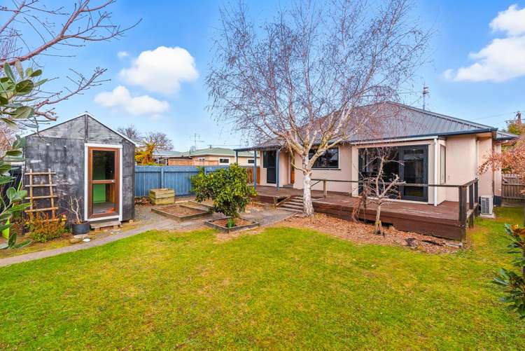 22 York Street Levin_14