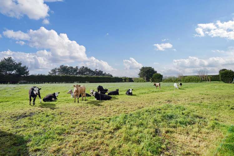 468 Lorne Dacre Road Roslyn Bush_27