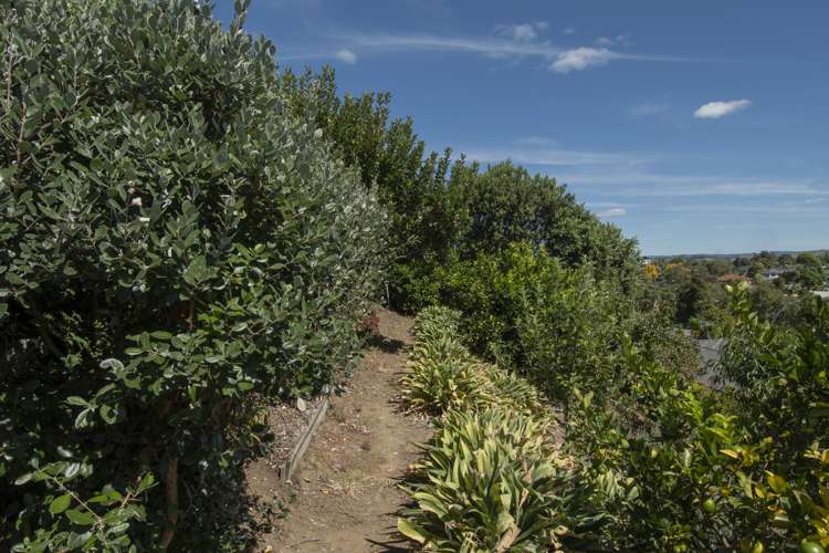 158 Castlewold Drive Bethlehem_17