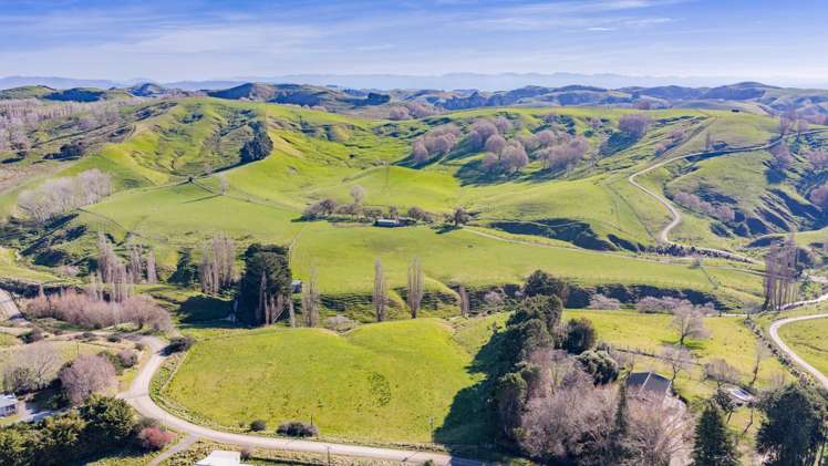 896 Te Awa Road Waipukurau_25