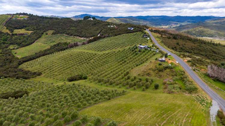 92 Frantoio Ridge Road Mangonui_24