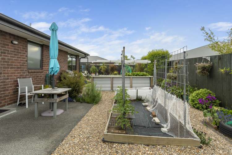 6 Coleman Place Katikati_11