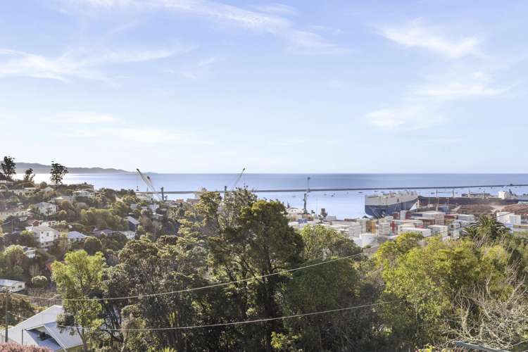 1/8 Mount Pleasant Avenue Beachville_1