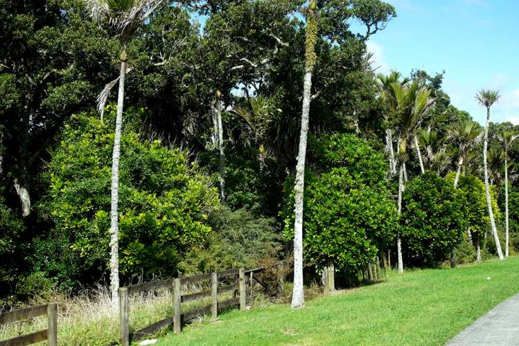 35 Norwood Drive Flat Bush_16