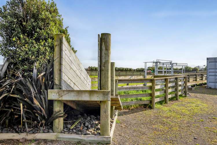 294 Austin Road Hawera_11