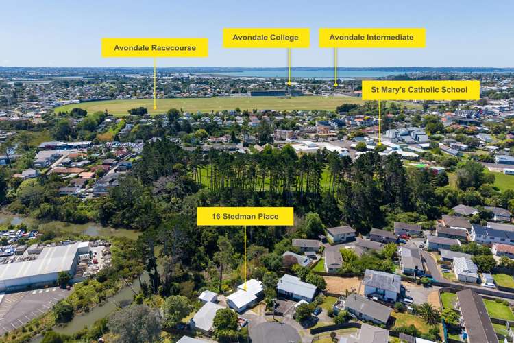 16 Stedman Place Avondale_25