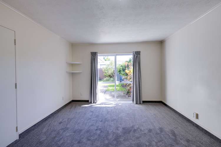 208 Avondale Road Greenmeadows_6