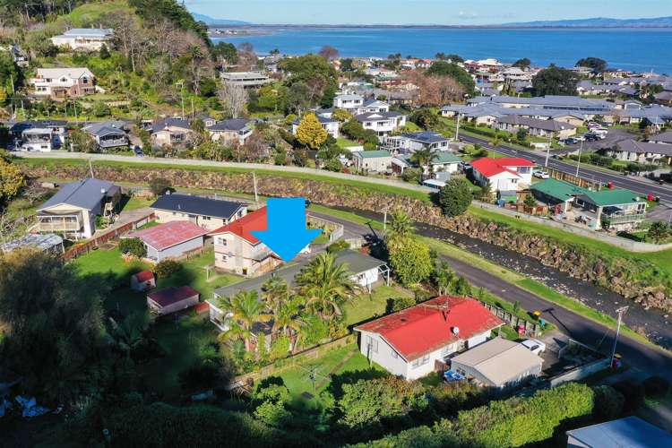 110 Tararu Creek Road Thames_17