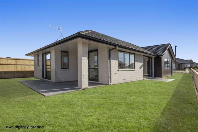 41 Bert Wall Drive Omokoroa_3