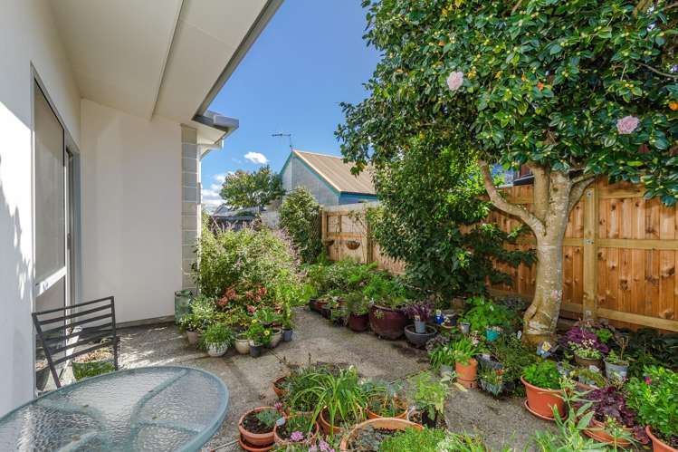 1 Herrick Street Marewa_15