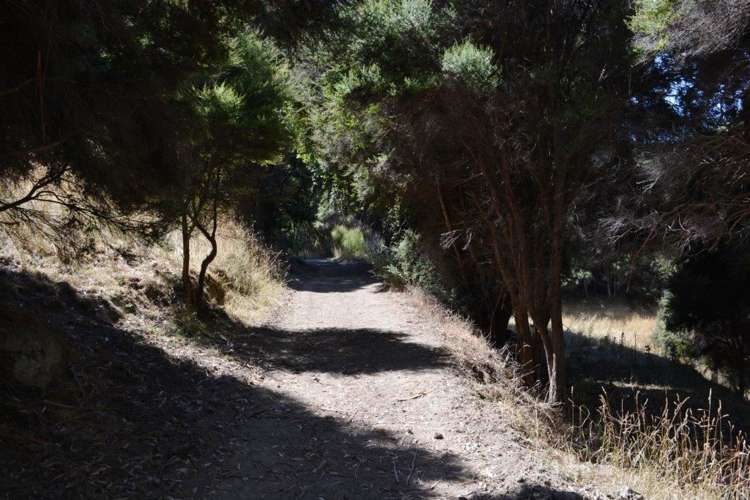 12 Pawsons Valley Road Duvauchelle_6