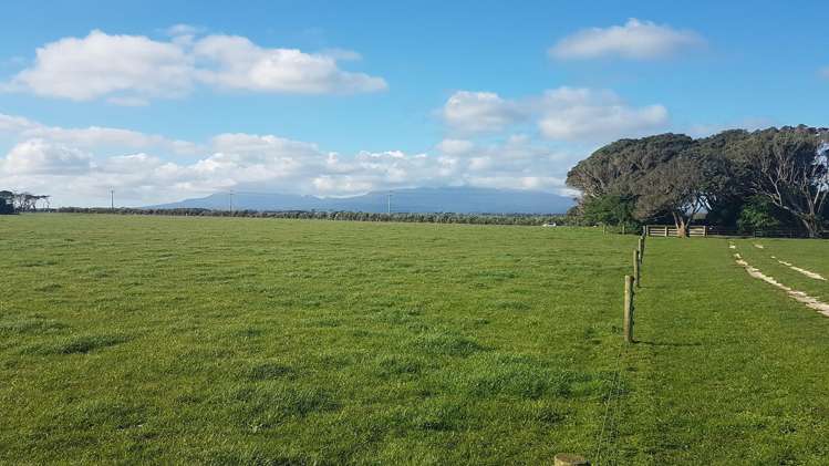 4581 South Road Opunake_6