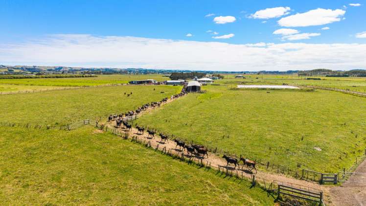 351 Otaua Road Waiuku_10