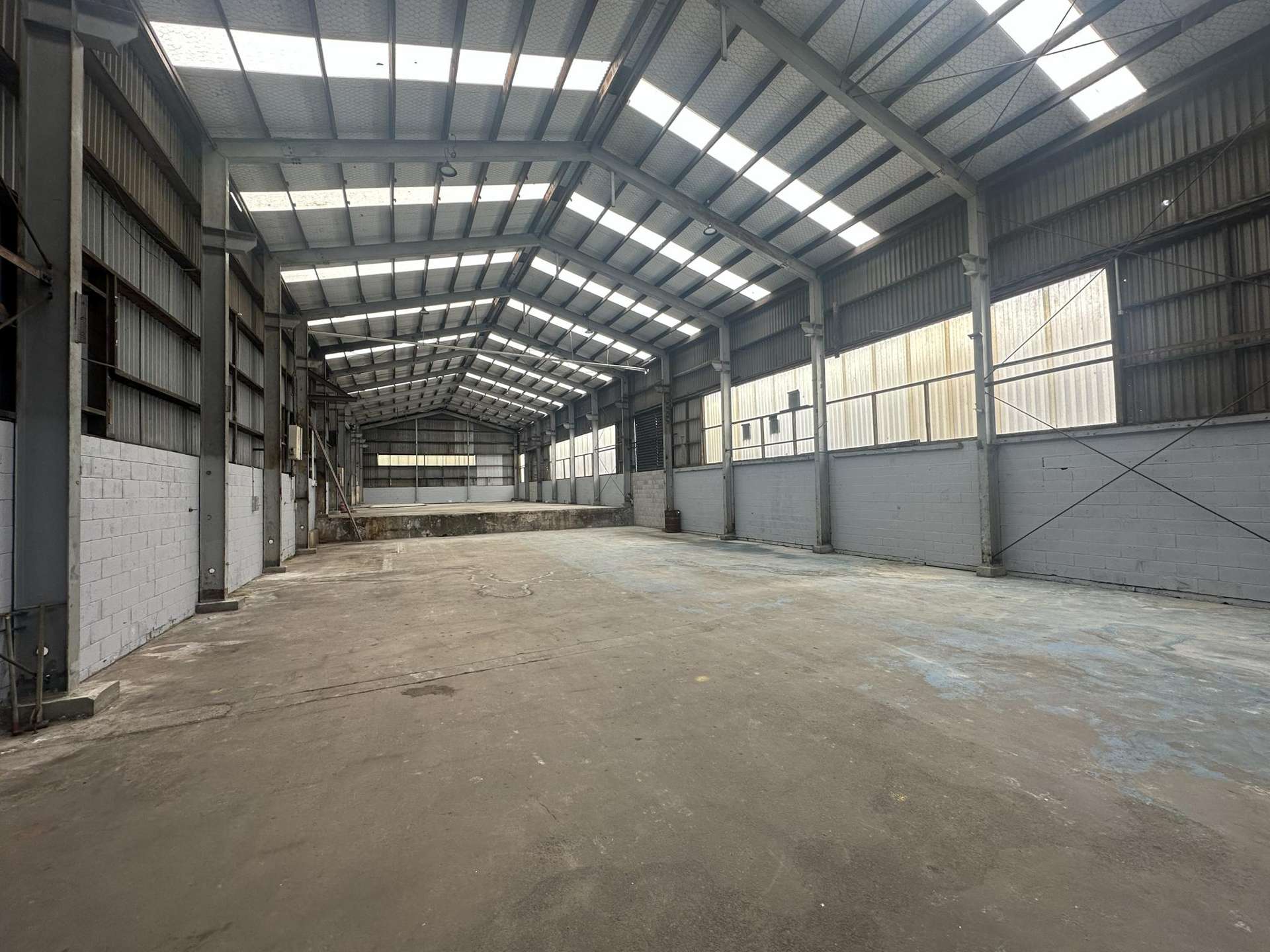 591 Rosebank Road Avondale_0