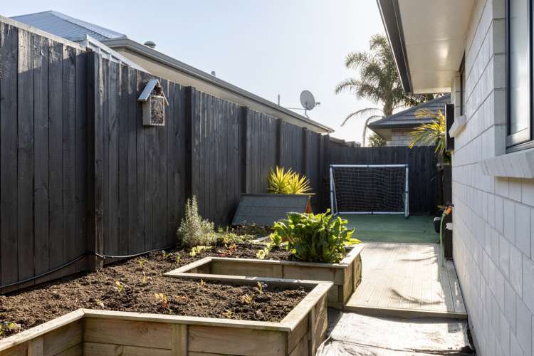 38 Kohekohe Road Papamoa_21