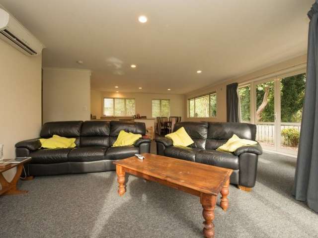 53d Allen Street Morrinsville_2