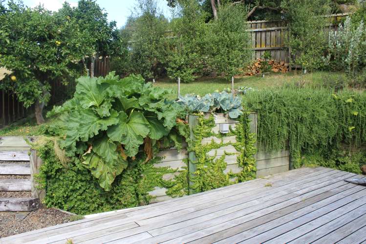 7 Taruna Place Te Kuiti_16