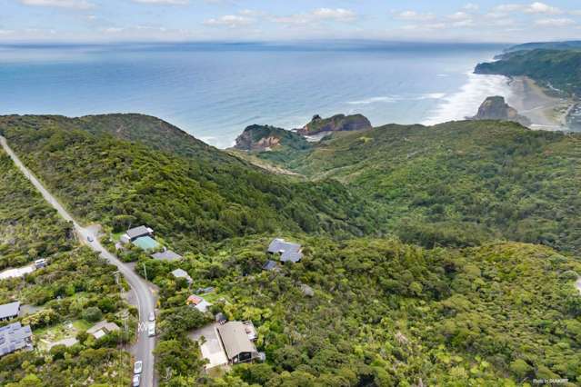 15 Log Race Road Piha_3