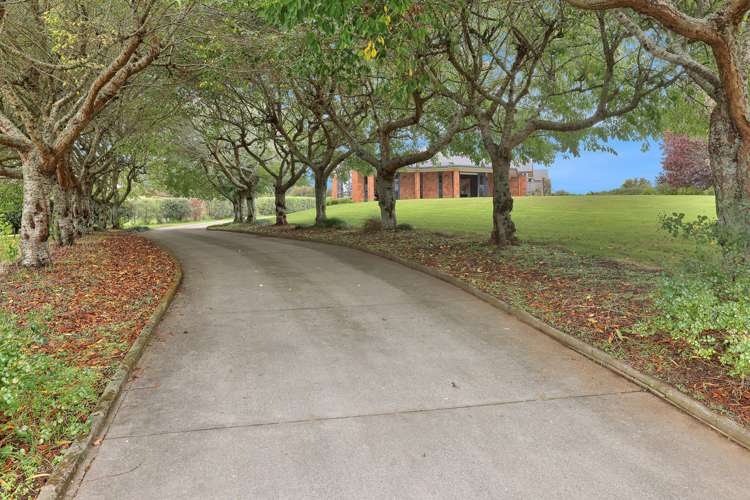 18 Awanui Avenue Te Awamutu Waipa Rural Property For Sale One Roof