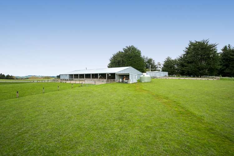 1152 Waitahuna West Road Lawrence_10