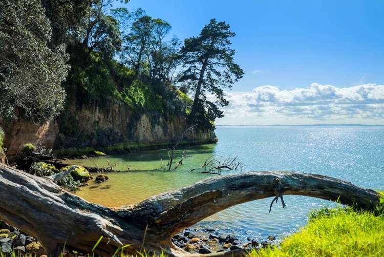144 Kauri Road Awhitu_16