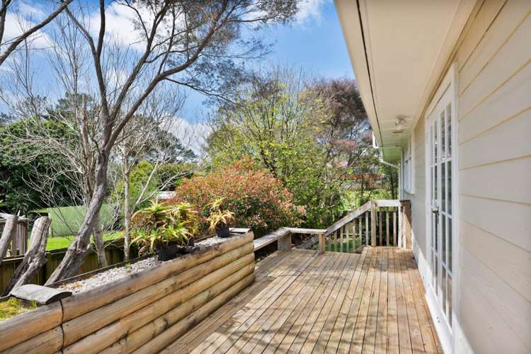 49a Glendene Avenue Glendene_4