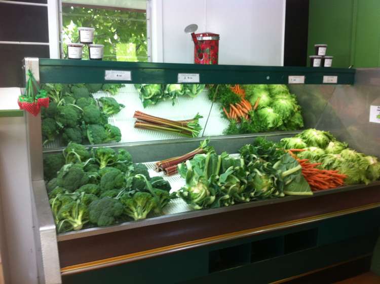 781 Outram-Mosgiel Road Mosgiel_22