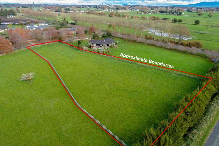 9 Brighton Grove Newstead_8