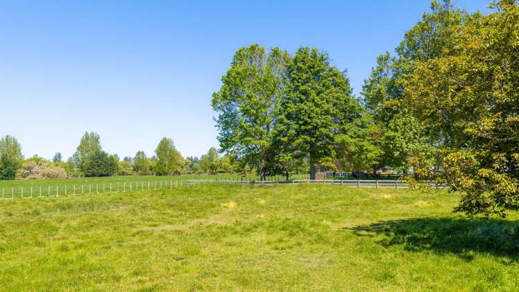 75 Ongaonga-Waipukurau Road Waipukurau_8