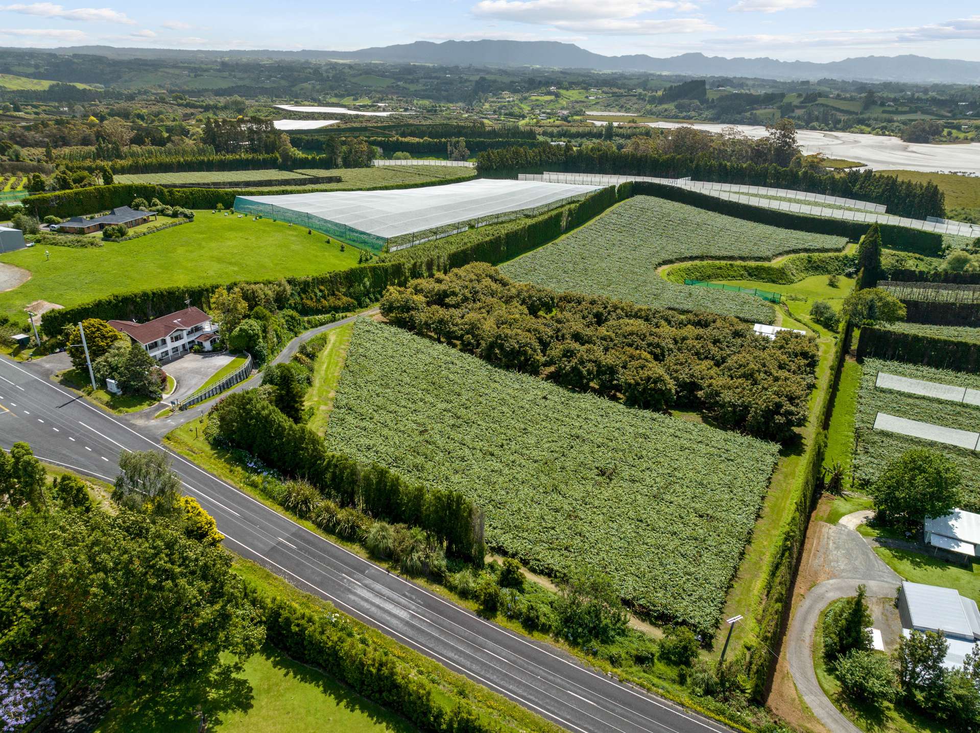 151 Snodgrass Road Te Puna Western Bay Of Plenty Houses for Sale
