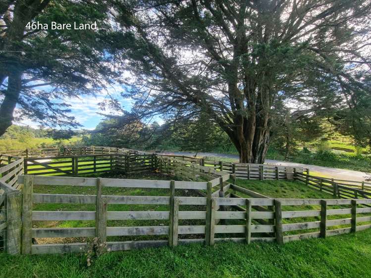 Oparure Road Te Kuiti_5