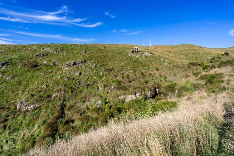 231 Huntsbury Avenue Cashmere_7