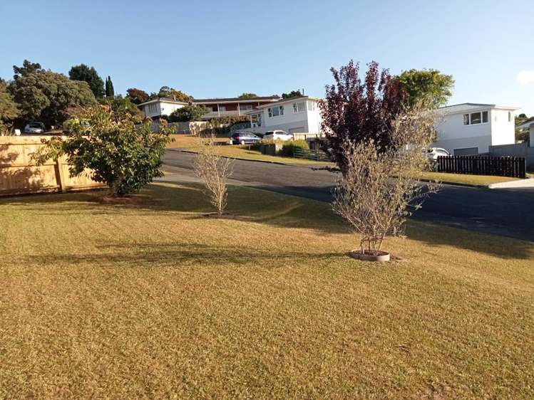 11 Walton Avenue Warkworth_4