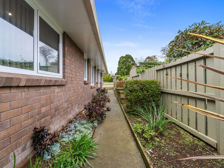 230 Young Street Te Awamutu_13