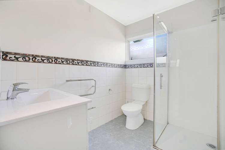 50 Potter Road Dairy Flat_8