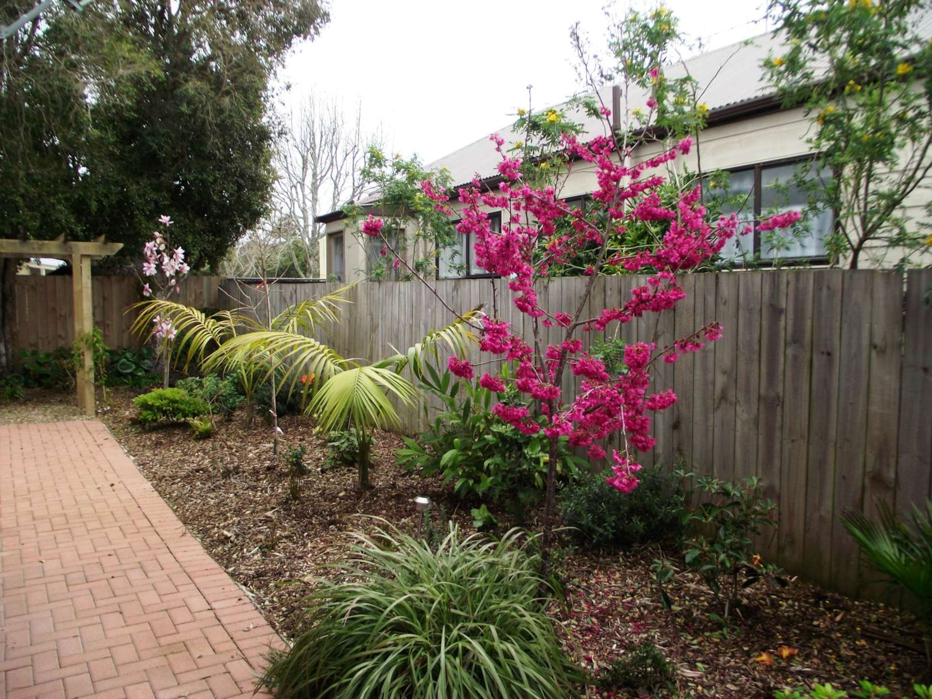 41a Howard Hunter Avenue Saint Johns_0