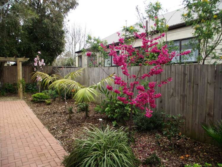 41a Howard Hunter Avenue Saint Johns_0