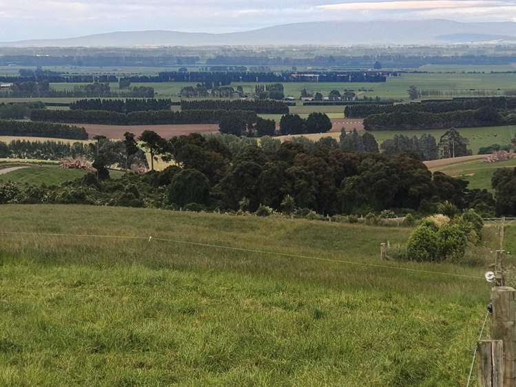 137 Kahikatea Drive Winton_13