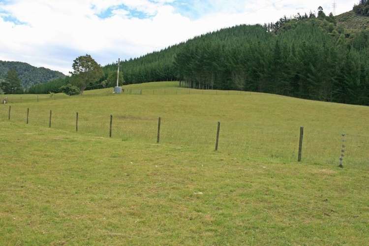 994 Maungatapu Road Rai Valley_15