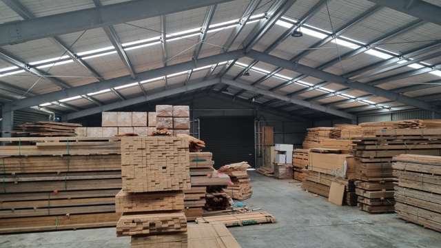 45 Norman Avenue Masterton_3