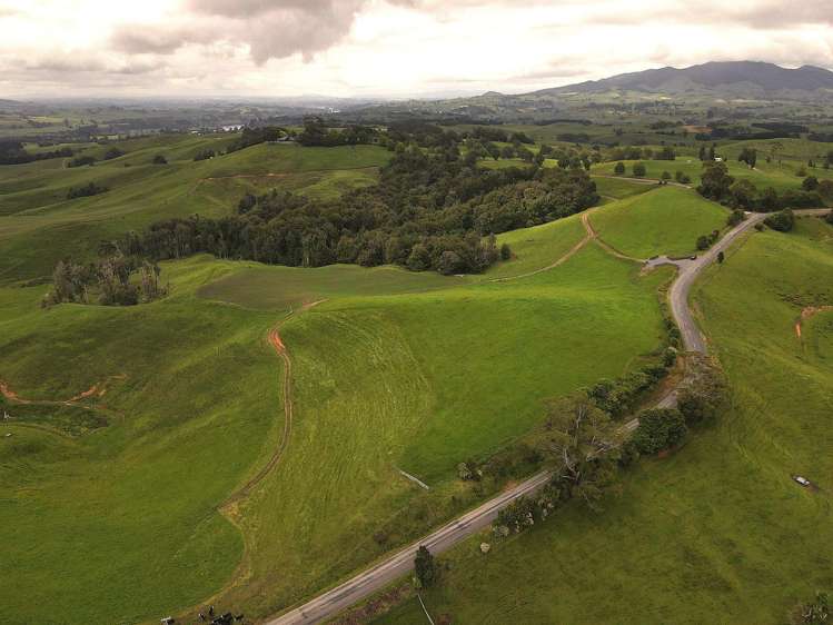 Taotaoroa Road Karapiro_22