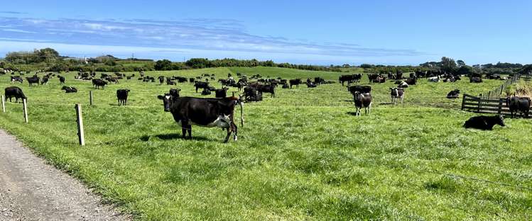 58 Manawapou Road Manutahi_4