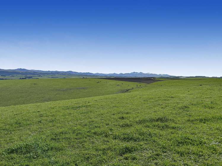 Round Hill Road Five Forks and Surrounds_2