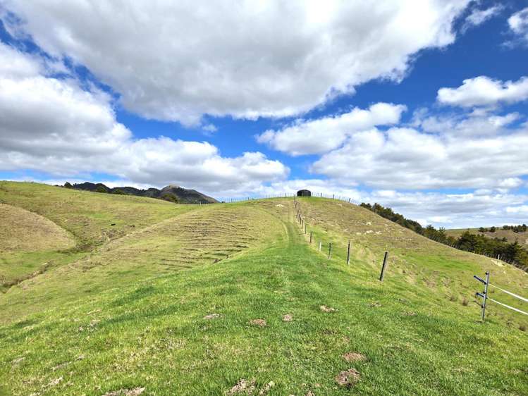 2761 State Highway 14 Whangarei_14