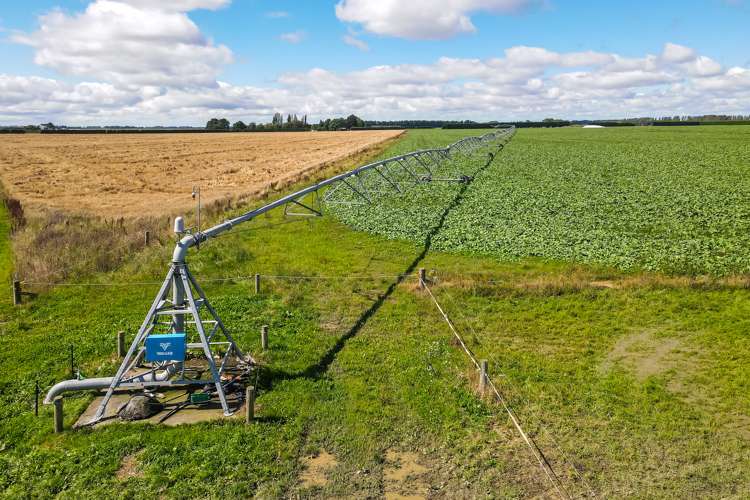 3239 Thompsons Track Ashburton Forks_2