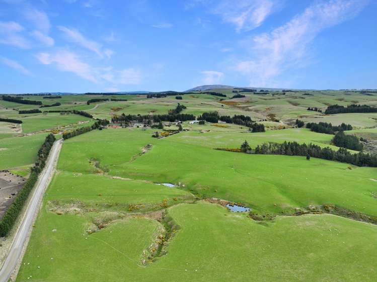 267 (Farm) Wehenga Road Hindon_11